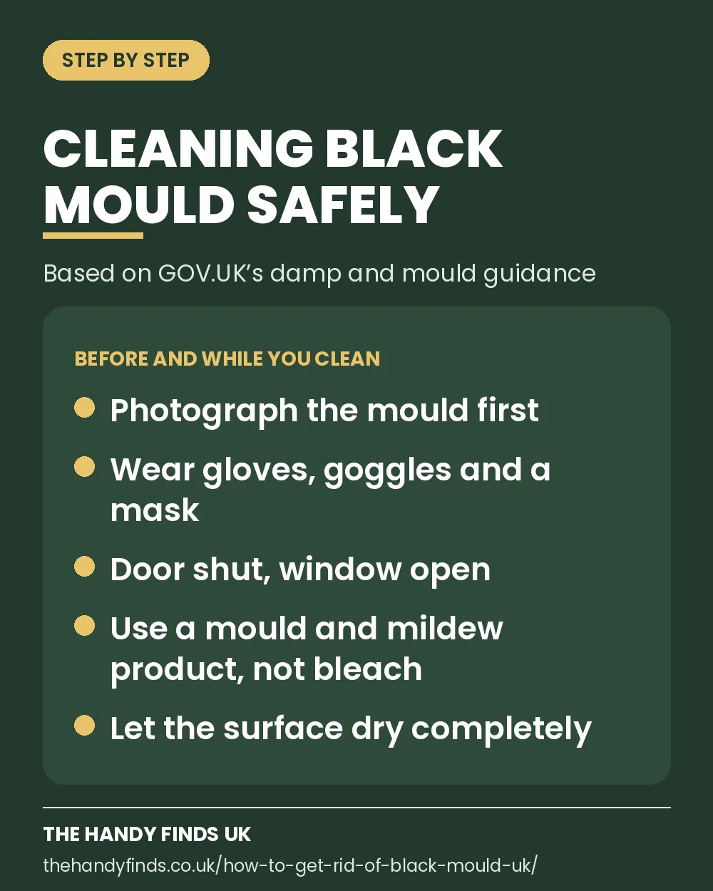 Checklist card for cleaning black mould safely: photograph it first, wear gloves, goggles and a mask, keep the door shut and window open, use a mould and mildew product rather than bleach, and let it dry
