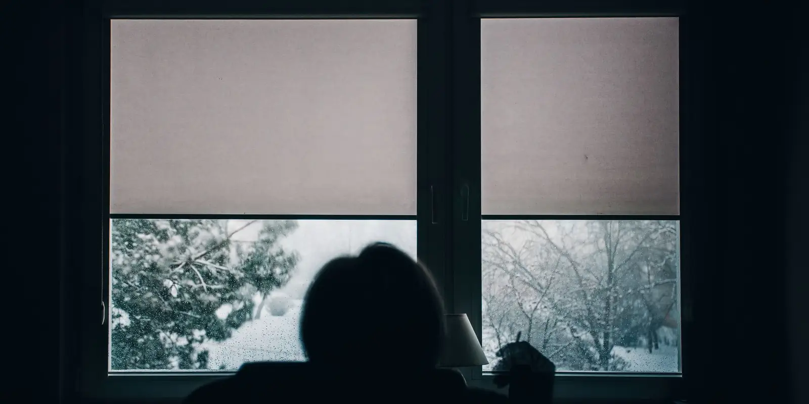 Person silhouetted against a window looking out at a snowy garden on a dark winter day